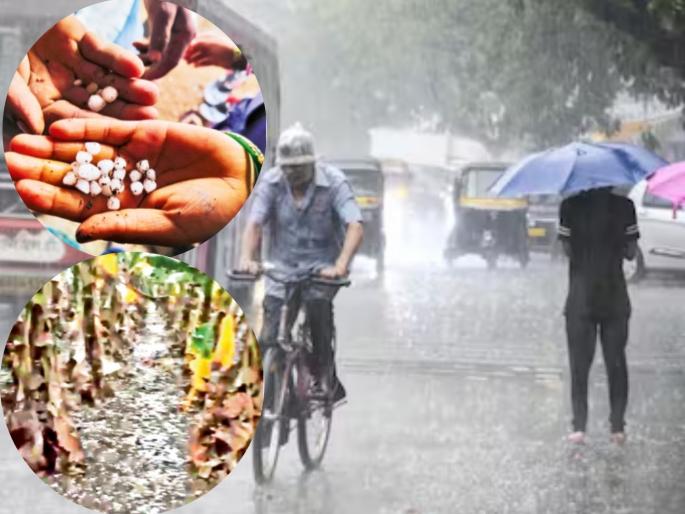 Meteorological Department warns! Unseasonal rains will fall in Maharashtra in two days; hailstorms will hit many places | हवामान विभागाचा इशारा! महाराष्ट्रात दोन दिवसांत अवकाळी पाऊस; अनेक ठिकाणी गारपिटीचा तडाखा
