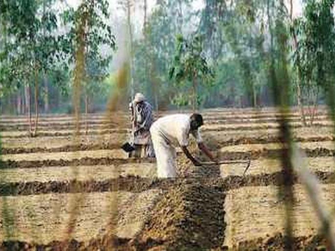 Land acquisition compensation circular cancelled; Big relief to farmers, High Court hits state government | जमीन संपादन भरपाईचे परिपत्रक रद्द; शेतकऱ्यांना मोठा दिलासा, हायकोर्टाचा राज्य सरकारला दणका Land acquisition compensation circular cancelled; Big relief to farmers, High Court hits state government | जमीन संपादन भरपाईचे परिपत्रक रद्द; शेतकऱ्यांना मोठा दिलासा, हायकोर्टाचा राज्य सरकारला दणका