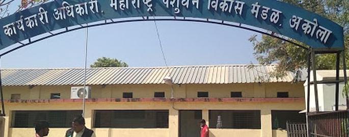 The headquarters of Maharashtra Livestock Development Board has been shifted from Akola to Nagpur | महाराष्ट्र पशुधन विकास मंडळाचे मुख्यालय अकोल्यातून नागपूरला स्थलांतरित The headquarters of Maharashtra Livestock Development Board has been shifted from Akola to Nagpur | महाराष्ट्र पशुधन विकास मंडळाचे मुख्यालय अकोल्यातून नागपूरला स्थलांतरित