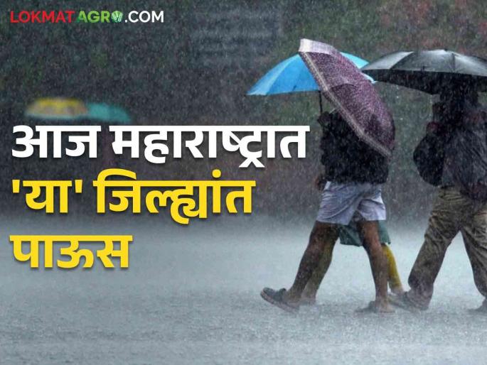 Maharashtra Rain Update red alert in amravati and yellow alert for other Maharashtra today, read in detail  | Maharashtra Rain Update : आज महाराष्ट्रात 'या' जिल्ह्यांत पाऊस, कुठे रेड, तर कुठे ऑरेंज, यलो अलर्ट, वाचा सविस्तर 