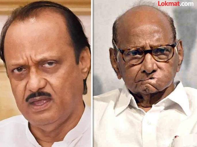 Maharashtra Vidhan Sabha Election 2024 Results NCP vs NCP direct fight in 35 constituencies; Who will kill the bet? | Maharashtra Vidhan Sabha Election 2024 Results : ३५ मतदारसंघात राष्ट्रवादी विरुद्ध राष्ट्रवादी थेट लढत; कोण मारणार बाजी? Maharashtra Vidhan Sabha Election 2024 Results NCP vs NCP direct fight in 35 constituencies; Who will kill the bet? | Maharashtra Vidhan Sabha Election 2024 Results : ३५ मतदारसंघात राष्ट्रवादी विरुद्ध राष्ट्रवादी थेट लढत; कोण मारणार बाजी?