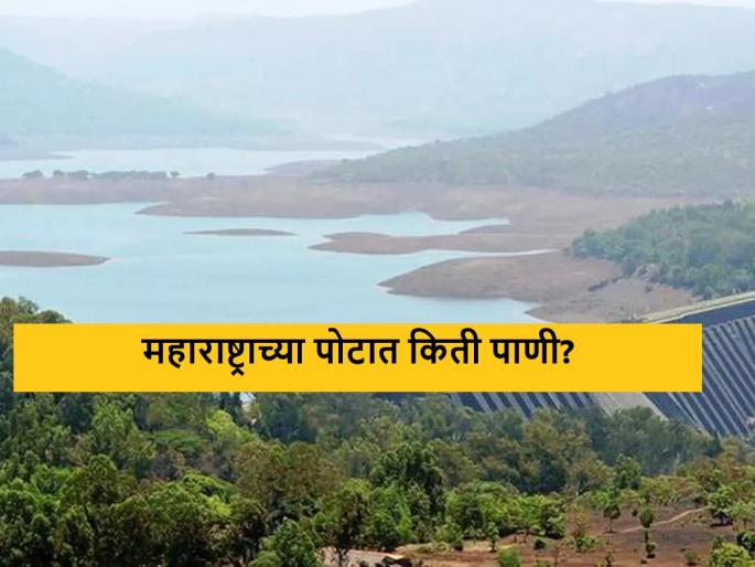 Latest News How much water is left in the district of Maharashtra? see details | Water Storage : कोणत्या जिल्ह्यात किती पाणी शिल्लक? किती पाण्याचा उपसा? वाचा सविस्तर 