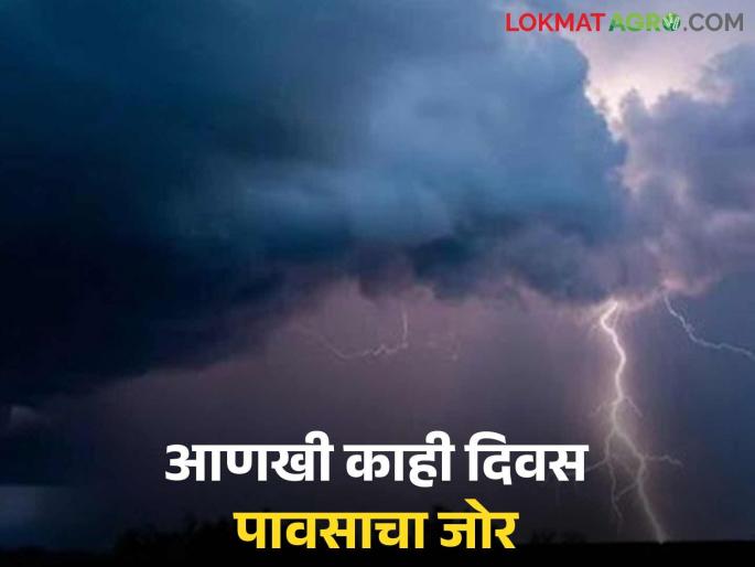 Maharashtra Weather: Orange alert for Sindhudurg and red alert for Ratnagiri; Read what weather experts are saying | Maharashtra Weather : सिंधुदुर्गला ऑरेंज तर रत्नागिरीत रेड अलर्ट; वाचा काय सांगताहेत हवामान तज्ञ