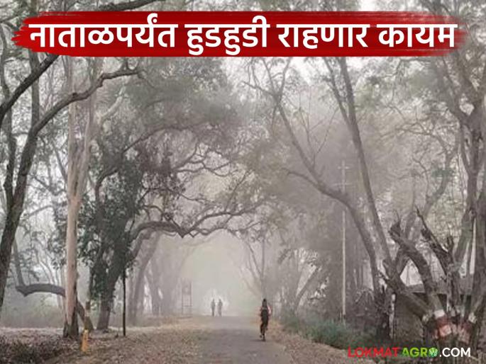 Meteorological Department warns of cold wave; Chilly weather will continue in the state till Christmas | हवामान विभागाने दिला शीत लहरीचा इशारा; राज्यात नाताळपर्यंत हुडहुडी राहणार कायम Meteorological Department warns of cold wave; Chilly weather will continue in the state till Christmas | हवामान विभागाने दिला शीत लहरीचा इशारा; राज्यात नाताळपर्यंत हुडहुडी राहणार कायम