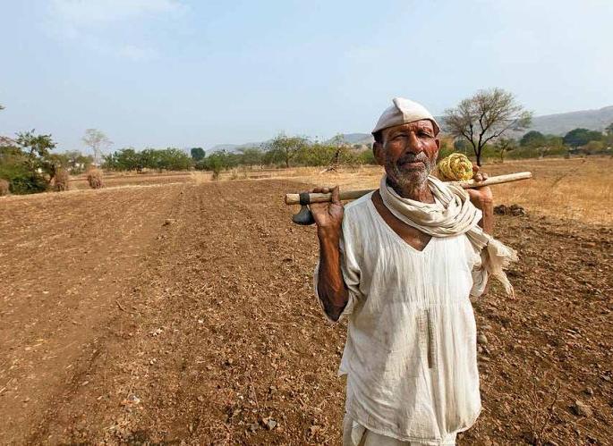 Three lakh farmers in Akola district get pardon of Agriculture Tax | अकोला जिल्ह्यात तीन लाख शेतकऱ्यांचा शेतसारा माफ! Three lakh farmers in Akola district get pardon of Agriculture Tax | अकोला जिल्ह्यात तीन लाख शेतकऱ्यांचा शेतसारा माफ!