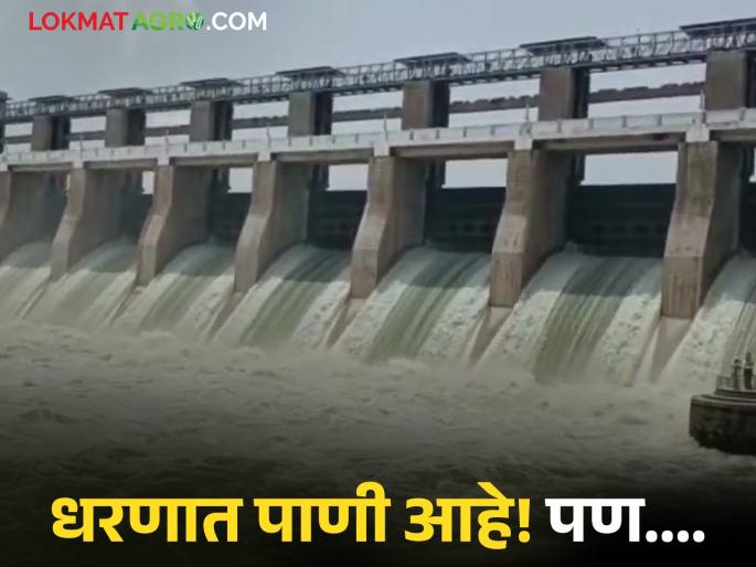 latest news Maharashtra Dam Water Level: Konkan-Pune filled with water, but Marathwada thirsty Read in detail | Maharashtra Dam Water Level : कोकण-पुणे जलसाठ्याने भरले, पण मराठवाडा तहानलेला वाचा सविस्तर latest news Maharashtra Dam Water Level: Konkan-Pune filled with water, but Marathwada thirsty Read in detail | Maharashtra Dam Water Level : कोकण-पुणे जलसाठ्याने भरले, पण मराठवाडा तहानलेला वाचा सविस्तर