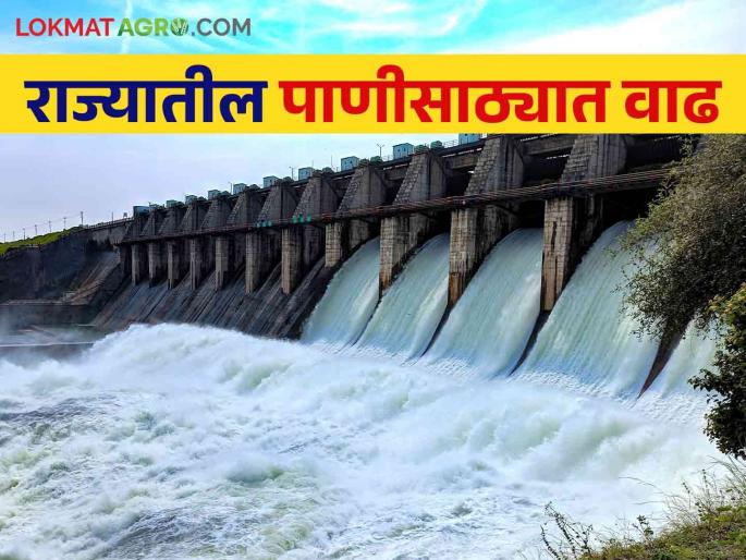 Maharashtra Dam Storage Water storage in the state increased; Most of the discharge takes place from this dam | Maharashtra Dam Storage राज्यातील पाणीसाठा वाढला; 'या' धरणातून होतोय सर्वाधिक विसर्ग Maharashtra Dam Storage Water storage in the state increased; Most of the discharge takes place from this dam | Maharashtra Dam Storage राज्यातील पाणीसाठा वाढला; 'या' धरणातून होतोय सर्वाधिक विसर्ग