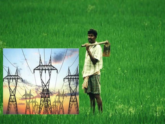 jaipur farmers to be get free electricity from april 1 in rajasthan roadways fare for women will be halved | शेतकऱ्यांना आजपासून मिळणार मोफत वीज! 'या' राज्यात केली मोठी घोषणा, वाचा सविस्तर jaipur farmers to be get free electricity from april 1 in rajasthan roadways fare for women will be halved | शेतकऱ्यांना आजपासून मिळणार मोफत वीज! 'या' राज्यात केली मोठी घोषणा, वाचा सविस्तर
