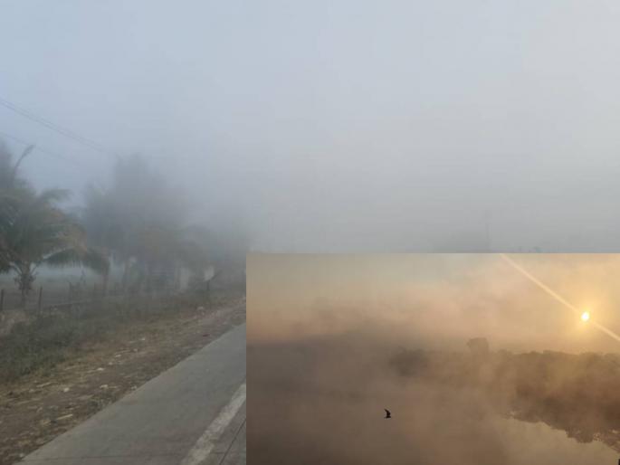Now leave Mahabaleshwar, go to Parbhani; Temperature reaches 4 degrees | आता महाबळेश्वर सोडा,परभणीला चला; तापमान पोहोचले ४ अंशावर Now leave Mahabaleshwar, go to Parbhani; Temperature reaches 4 degrees | आता महाबळेश्वर सोडा,परभणीला चला; तापमान पोहोचले ४ अंशावर