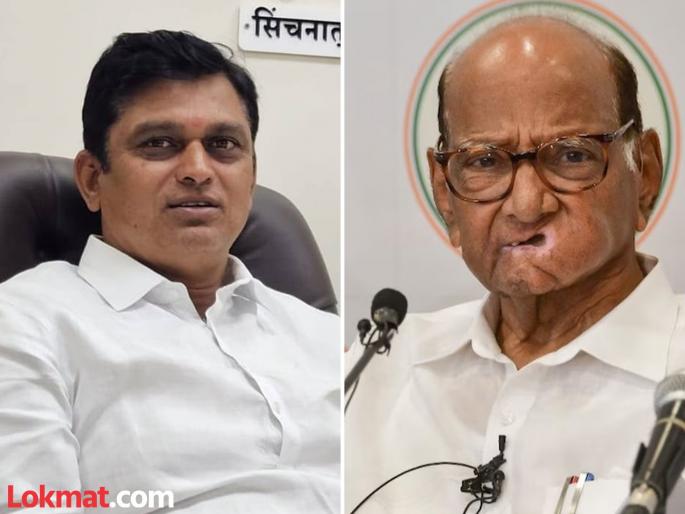 Shiv Sena MLA Shinde's statement about Sharad Pawar, 'There are so many crows on the 10th and 13th | 'दहावा, तेराव्याला असे अनेक कावळे फिरतात, ', शरद पवारांबद्दल शिवसेना आमदार शिंदेंचे विधान Shiv Sena MLA Shinde's statement about Sharad Pawar, 'There are so many crows on the 10th and 13th | 'दहावा, तेराव्याला असे अनेक कावळे फिरतात, ', शरद पवारांबद्दल शिवसेना आमदार शिंदेंचे विधान