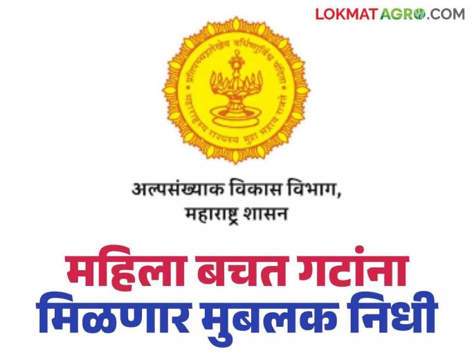 Minority Development Department : Fund of so many crores for self-help groups in the state; Read details about who will get the benefits | Minority Development Department : राज्यात बचत गटांसाठी 'इतक्या' कोटींचा निधी; कोणाला मिळणार लाभ वाचा सविस्तर Minority Development Department : Fund of so many crores for self-help groups in the state; Read details about who will get the benefits | Minority Development Department : राज्यात बचत गटांसाठी 'इतक्या' कोटींचा निधी; कोणाला मिळणार लाभ वाचा सविस्तर