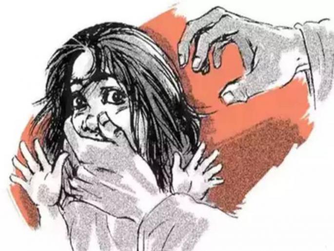After divorcing his first wife, he also physically and mentally abused his newly married wife | पहिल्या लग्नाच्या घटस्फोटानंतर नवीन विवाहित पत्नीचाही केला शारीरिक व मानसिक छळ