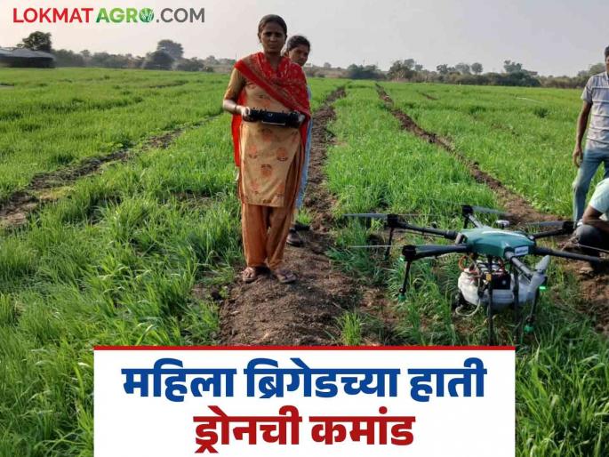 Drone Operates Women: In yavatmal women farmers operate drone for spraying pesticides | Drone Operates Women : काय सांगताय! १२०० एकरवर ड्रोनने स्प्रे करतात महिला