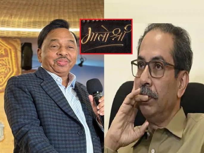 You have done the foolish thing by resigning, now rest in peace; Narayan Rane attacked Thackeray | राजीनामा देऊन मुर्खपणा केलाय, आता मातोश्रीत आराम करा; नारायण राणेंचा ठाकरेंवर हल्लाबोल You have done the foolish thing by resigning, now rest in peace; Narayan Rane attacked Thackeray | राजीनामा देऊन मुर्खपणा केलाय, आता मातोश्रीत आराम करा; नारायण राणेंचा ठाकरेंवर हल्लाबोल