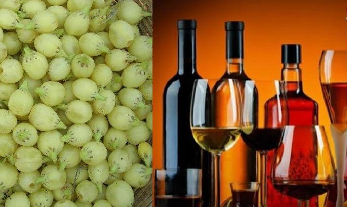state cabinet decided to allow the production of branded liquor directly from mahua flower | ना गावठी, ना देशी, मोहफुलांपासून थेट विदेशी; मंत्रिमंडळाचा निर्णय state cabinet decided to allow the production of branded liquor directly from mahua flower | ना गावठी, ना देशी, मोहफुलांपासून थेट विदेशी; मंत्रिमंडळाचा निर्णय