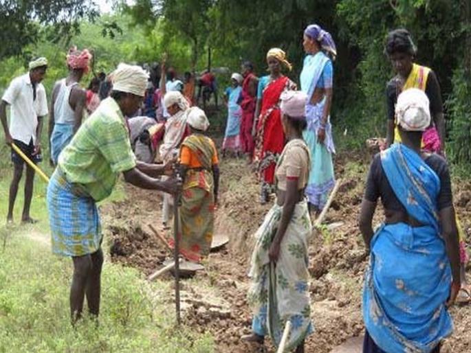 Farmers met with labor scarcity: Taloda campus | मजुर टंचाईने शेतकरी मेटाकुटीस : तळोदा परिसर Farmers met with labor scarcity: Taloda campus | मजुर टंचाईने शेतकरी मेटाकुटीस : तळोदा परिसर