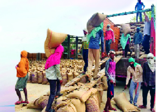 No shopping malls: just to announce a 'guarantee price' increase | खरेदी केंद्रेच नाहीत : ‘हमीभाव’ वाढ घोषणेपुरतीच No shopping malls: just to announce a 'guarantee price' increase | खरेदी केंद्रेच नाहीत : ‘हमीभाव’ वाढ घोषणेपुरतीच