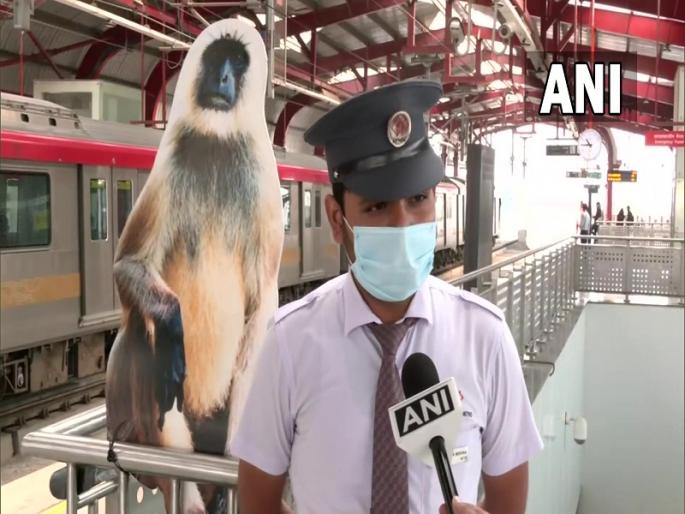 Lucknow Metro places cutouts of Langurs at 9 metro stations to scare away monkeys | मेट्रो स्टेशनवर लावले माकडांचे कटआउट्स, जाणून घ्या काय आहे हा प्रकार? Lucknow Metro places cutouts of Langurs at 9 metro stations to scare away monkeys | मेट्रो स्टेशनवर लावले माकडांचे कटआउट्स, जाणून घ्या काय आहे हा प्रकार?