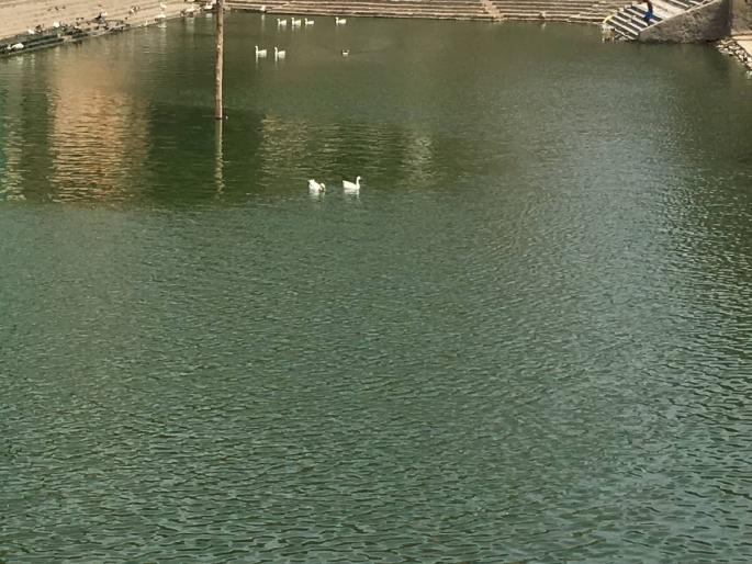 Malabar Hill Reservoir reconstruction under controversy, environmentalist's letter to Municipal Commissioner | मलबार हिल जलाशयाची पुनर्बांधणी वादाच्या भोवऱ्यात, पर्यावरणतज्ज्ञांचे महापालिका आयुक्तांना पत्र Malabar Hill Reservoir reconstruction under controversy, environmentalist's letter to Municipal Commissioner | मलबार हिल जलाशयाची पुनर्बांधणी वादाच्या भोवऱ्यात, पर्यावरणतज्ज्ञांचे महापालिका आयुक्तांना पत्र