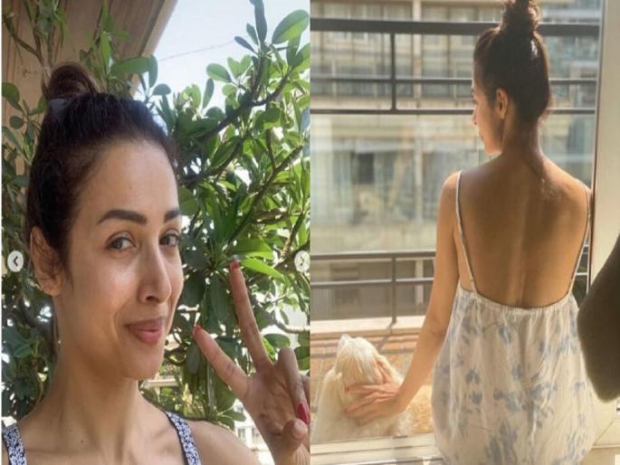Malaika Arora Shared a video soaking in some Vitamin D amid quarantine-SRJ | कोरोनापासून वाचण्यासाठी मलायकाकडे आहे रामबाण उपाय, विश्वास नाही बसत एकदा पाहाच Malaika Arora Shared a video soaking in some Vitamin D amid quarantine-SRJ | कोरोनापासून वाचण्यासाठी मलायकाकडे आहे रामबाण उपाय, विश्वास नाही बसत एकदा पाहाच