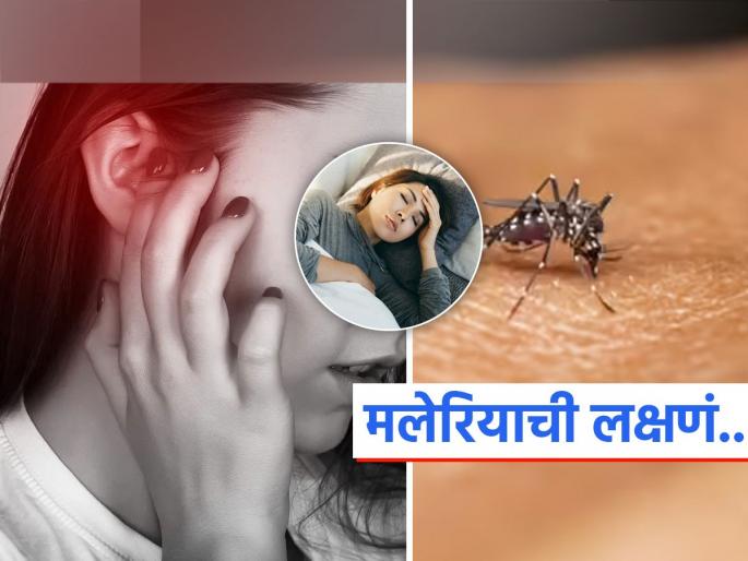 Malaria cases increasing in Delhi remeber these symptoms and signs | वेळीच उपचार न मिळाल्यास जीवघेणा ठरतो मलेरिया, पाहा काय असतात याची लक्षणं, कसा कराल बचाव