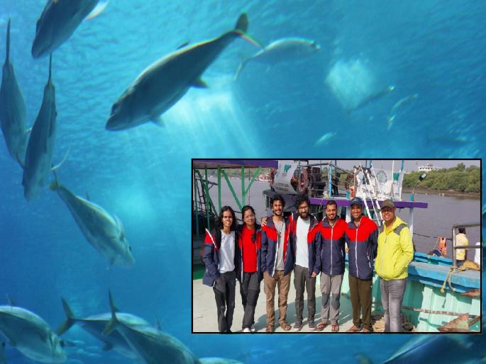 The world of marine life will unfold Special search mission of Indian marine team on the coast of Maharashtra | समुद्री जीवांचे विश्व उलगडणार, भारताच्या मरीन टीमची महाराष्ट्राच्या किनारपट्टीवर विशेष शोधमोहीम The world of marine life will unfold Special search mission of Indian marine team on the coast of Maharashtra | समुद्री जीवांचे विश्व उलगडणार, भारताच्या मरीन टीमची महाराष्ट्राच्या किनारपट्टीवर विशेष शोधमोहीम