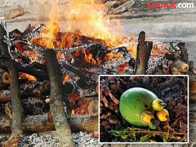 A shocking act in the cemetery Lemons planted on the bones with the help of hawthorns | महिलेच्या मृत्यूनंतर स्मशानभूमीत अघोरी कृत्याने खळबळ; अस्थीवर फळाला लावले लिंबू  A shocking act in the cemetery Lemons planted on the bones with the help of hawthorns | महिलेच्या मृत्यूनंतर स्मशानभूमीत अघोरी कृत्याने खळबळ; अस्थीवर फळाला लावले लिंबू