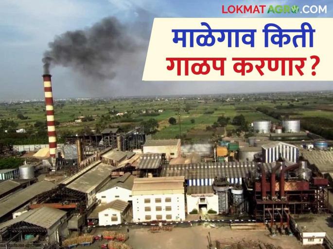 How much sugarcane will crush this year? by malegaon factory, which offers the highest price for sugarcane in the state | राज्यात सर्वात जास्त दर देणारा माळेगाव कारखाना यंदा किती ऊस गाळप करणार?