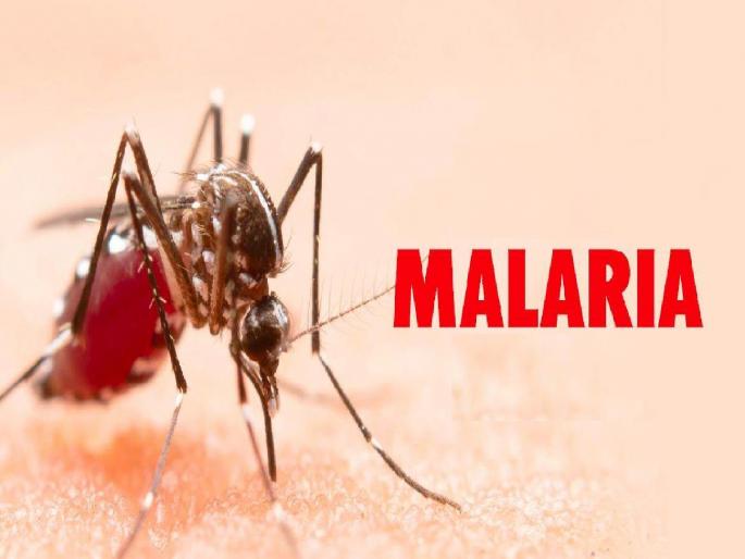 Eighteen migrant workers contracted malaria at the same time in Vazare in Sindhudurg district | Sindhudurg: वझरेत एकाचवेळी अठरा परप्रांतीय कामगारांना मलेरियाची लागण, आरोग्य विभागात खळबळ  Eighteen migrant workers contracted malaria at the same time in Vazare in Sindhudurg district | Sindhudurg: वझरेत एकाचवेळी अठरा परप्रांतीय कामगारांना मलेरियाची लागण, आरोग्य विभागात खळबळ