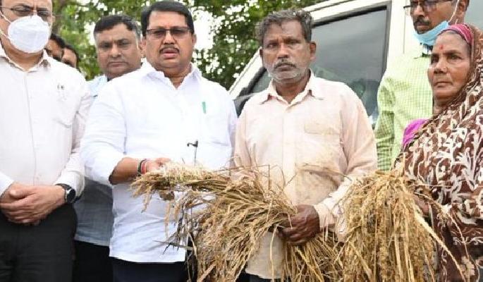guardian minister vijay wadettiwar visited farmer on loss of crop due to untimely rain | शेतकऱ्यांनो खचू नका, पूर्ण मदत करू : विजय वडेट्टीवार guardian minister vijay wadettiwar visited farmer on loss of crop due to untimely rain | शेतकऱ्यांनो खचू नका, पूर्ण मदत करू : विजय वडेट्टीवार