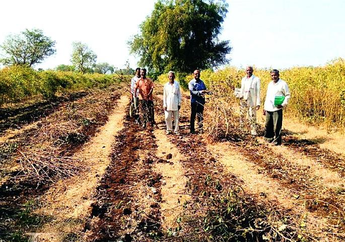 Pankanam Fole of the GPS system of Malkapur taluka! | मलकापूर तालुक्यातील जीपीएस प्रणालीचे पंचनामे फोल! Pankanam Fole of the GPS system of Malkapur taluka! | मलकापूर तालुक्यातील जीपीएस प्रणालीचे पंचनामे फोल!