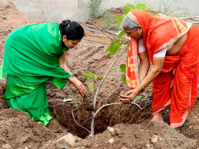 vat pournima : banyan tree plantation instead of worship | मलकापूर नगराध्यक्षांच्या पत्नीचा आगळा वेगळा उपक्रम;  वटपुजेऐवजी केली वडाची लागवड ! vat pournima : banyan tree plantation instead of worship | मलकापूर नगराध्यक्षांच्या पत्नीचा आगळा वेगळा उपक्रम;  वटपुजेऐवजी केली वडाची लागवड !