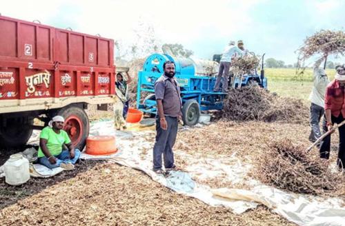 Farmers hurry; Soybean rains wreak havoc | शेतकऱ्यांची घाई; सोयाबीनला पावसाचा कहर, अशात वाढले मजुरीचे दर
