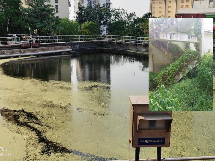 Chief Minister's intervention in solid waste disposal center closure case; City Development Department directed to probe on Natconnect's complaint | घणसोली मलनि:स्सारण केंद्र बंद प्रकरणामध्ये मुख्यमंत्र्यांचा हस्तक्षेप; नॅटकनेक्टच्या तक्रारीवरुन शहर विकास विभागाला चौकशीचे निर्देश Chief Minister's intervention in solid waste disposal center closure case; City Development Department directed to probe on Natconnect's complaint | घणसोली मलनि:स्सारण केंद्र बंद प्रकरणामध्ये मुख्यमंत्र्यांचा हस्तक्षेप; नॅटकनेक्टच्या तक्रारीवरुन शहर विकास विभागाला चौकशीचे निर्देश