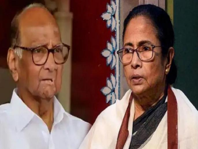 things like maharashtra politics will happen with tmc and mamata benerjee says sukanta majumdar, West Bengal | पश्चिम बंगालमध्येही होणार महाराष्ट्राप्रमाणे 'खेला', ममता बॅनर्जींच्या अडचणी वाढणार; भाजप नेत्याचा दावा things like maharashtra politics will happen with tmc and mamata benerjee says sukanta majumdar, West Bengal | पश्चिम बंगालमध्येही होणार महाराष्ट्राप्रमाणे 'खेला', ममता बॅनर्जींच्या अडचणी वाढणार; भाजप नेत्याचा दावा