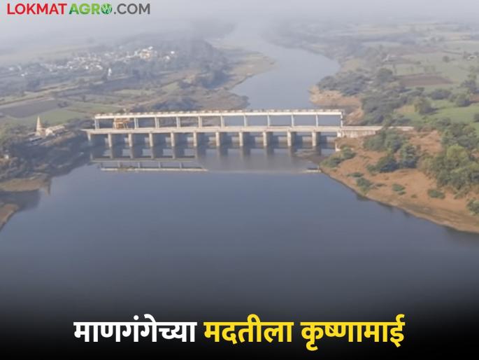 Water released into Man River from Tembu Irrigation Project | टेंभू सिंचन प्रकल्पातून माण नदीत सोडले पाणी Water released into Man River from Tembu Irrigation Project | टेंभू सिंचन प्रकल्पातून माण नदीत सोडले पाणी