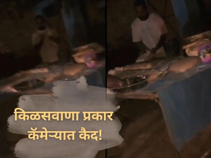 Viral Video: Man Spits On Rotis At Wedding In Uttar Pradesh’s Bulandshahr; Jailed | Viral Video: लग्नात स्वयंपाक बनवताना तरुणाचं घाणेरडं कृत्य; व्हिडिओ समोर येताच अटक! Viral Video: Man Spits On Rotis At Wedding In Uttar Pradesh’s Bulandshahr; Jailed | Viral Video: लग्नात स्वयंपाक बनवताना तरुणाचं घाणेरडं कृत्य; व्हिडिओ समोर येताच अटक!