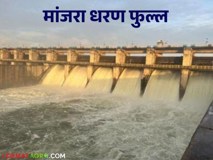 latest news Manjara Dam Water Storage: Manjara Dam full; Six gates opened by 0.25 meters Read in detail | Manjara Dam Water Storage : मांजरा धरण फुल्ल; सहा दरवाजे ०.२५ मीटरने उघडले वाचा सविस्तर
