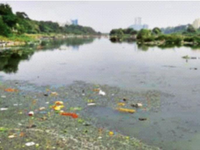 Pollution committee's clean chit is surprising! Ignoring Mandvi pollution, villagers allege | प्रदूषण समितीची क्लीन चिट आश्चर्यकारक ! मांडवी प्रदूषणाकडे दुर्लक्ष, गाेवेकरांचा आराेप Pollution committee's clean chit is surprising! Ignoring Mandvi pollution, villagers allege | प्रदूषण समितीची क्लीन चिट आश्चर्यकारक ! मांडवी प्रदूषणाकडे दुर्लक्ष, गाेवेकरांचा आराेप