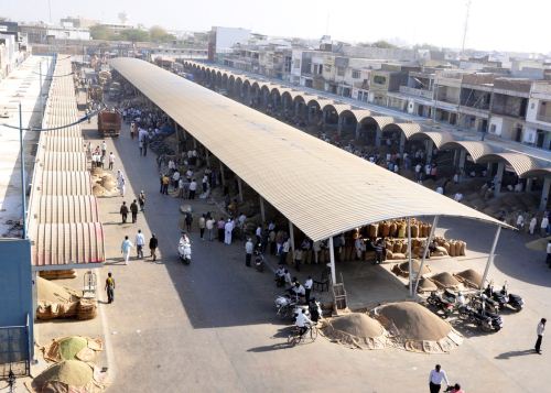  The demand of crop productivity for purchase guarantee rates | हमी दराच्या खरेदीसाठी पीक उत्पादकतेचा मागितला अहवाल!