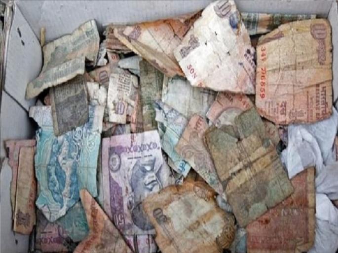Torn notes in donation boxes in temples in Sangli district | देवाचीही फसवणूक!, फाटलेल्या नोटा अर्पण करून फेडला नवस, सांगलीतील अजब प्रकार Torn notes in donation boxes in temples in Sangli district | देवाचीही फसवणूक!, फाटलेल्या नोटा अर्पण करून फेडला नवस, सांगलीतील अजब प्रकार