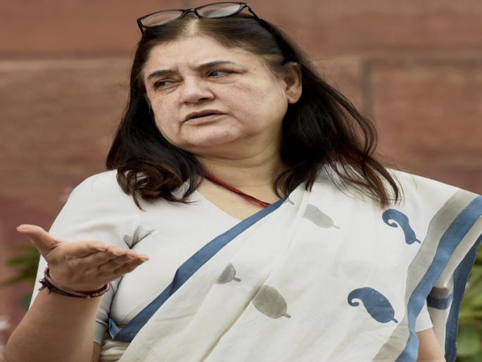Include religious books and demographics in the curriculum, Maneka Gandhi's suggestions | पाठ्यक्रमात धार्मिक पुस्तके व मूल्यशिक्षणाचा समावेश करा, मनेका गांधी यांची सूचना