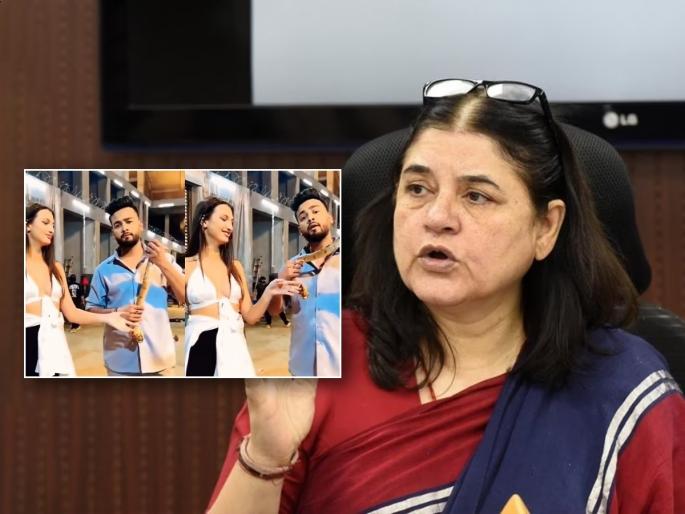 Elvish Yadav News: Elvish Yadav carries snake, immediate arrest him; MP Maneka Gandhi's demand | एल्विश यादव विषारी साप बाळगतो, तत्काळ अटक व्हावी; खासदार मनेका गांधींची मागणी Elvish Yadav News: Elvish Yadav carries snake, immediate arrest him; MP Maneka Gandhi's demand | एल्विश यादव विषारी साप बाळगतो, तत्काळ अटक व्हावी; खासदार मनेका गांधींची मागणी