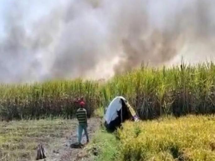 16 acres of sugarcane on fire in Mangaon Kolhapur district | कोल्हापूर: माणगांवमध्ये आगीचे सञ सुरूच, १६ एकर ऊस आगीच्या भक्ष्यस्थानी; शेतकरी भयभयीत 16 acres of sugarcane on fire in Mangaon Kolhapur district | कोल्हापूर: माणगांवमध्ये आगीचे सञ सुरूच, १६ एकर ऊस आगीच्या भक्ष्यस्थानी; शेतकरी भयभयीत