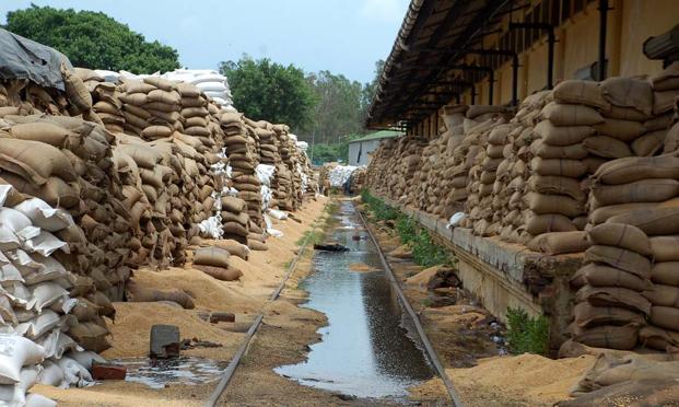 Manger of WICA in Akola to check bad wheat | खराब गव्हाच्या तपासासाठी 'वखार'चे व्यवस्थापक अकोल्यात Manger of WICA in Akola to check bad wheat | खराब गव्हाच्या तपासासाठी 'वखार'चे व्यवस्थापक अकोल्यात