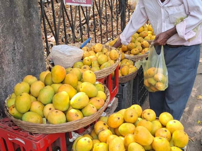 Prices of Mankurad mangoes have come down due to increase in arrivals, from Rs 4,000 per dozen to Rs 2,000 per dozen | आवक वाढल्याने मानकुराद आंब्याचे दर उतरले, ४ हजार प्रती डझनवरुन २ हजारावर आले