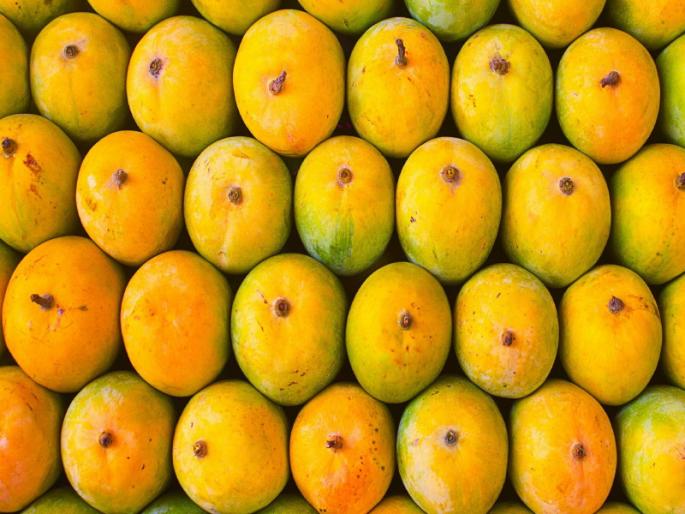 Carnatic mango under the name Hapus; No action against the sellers, neglect of the market committee | हापूसच्या नावाखाली कर्नाटकी आंबा; विक्री करणाऱ्यांवर कारवाई होईना, बाजार समितीचेही दुर्लक्ष Carnatic mango under the name Hapus; No action against the sellers, neglect of the market committee | हापूसच्या नावाखाली कर्नाटकी आंबा; विक्री करणाऱ्यांवर कारवाई होईना, बाजार समितीचेही दुर्लक्ष