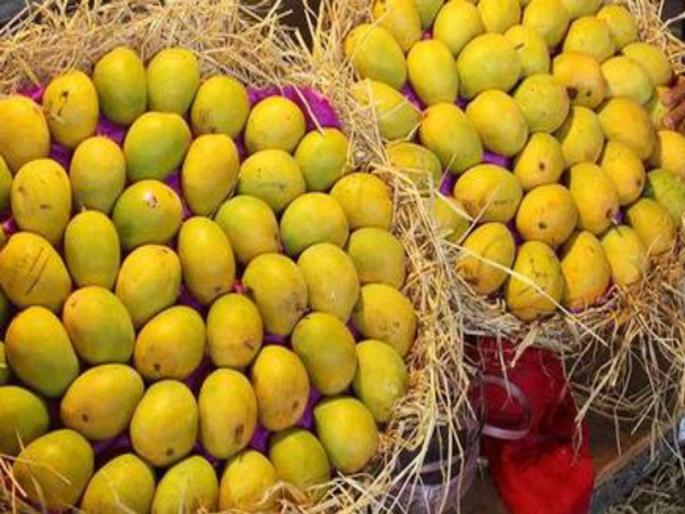 Mangoes increasing in the market yard | मार्केट यार्डात आंब्याची आवक वाढली Mangoes increasing in the market yard | मार्केट यार्डात आंब्याची आवक वाढली