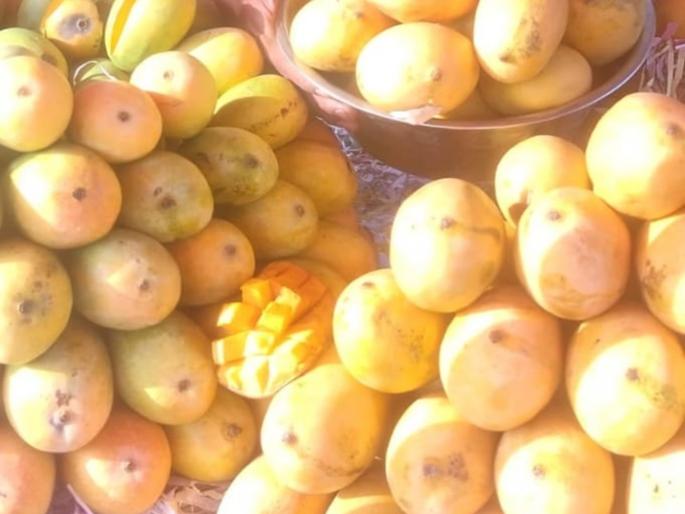 Various mangoes are available in the market, but the foodie wait for Akshaya Tritiya | विविध आंब्यांचा बाजारात दरवळ, पण आमरस खवय्यांना अक्षय्य तृतीयेची प्रतीक्षा