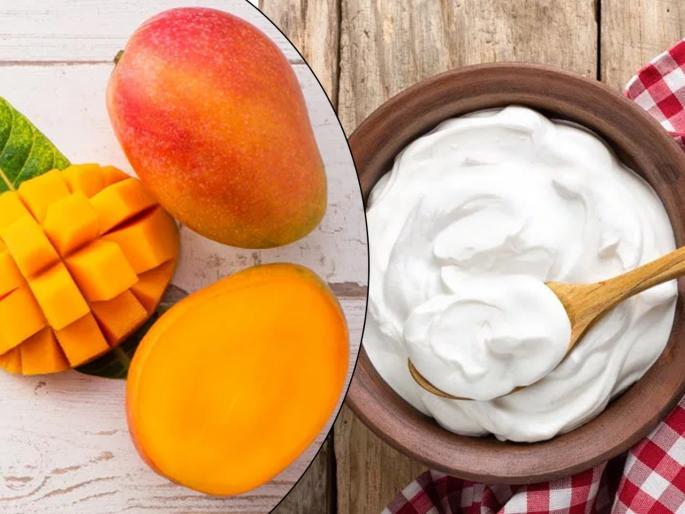 Lifestyle eat mango and curd together to lose weight | वजन कमी करण्यासाठी आंबा आणि दह्याचे एकत्र करा सेवन Lifestyle eat mango and curd together to lose weight | वजन कमी करण्यासाठी आंबा आणि दह्याचे एकत्र करा सेवन